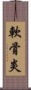軟骨炎 Scroll