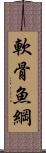 軟骨魚綱 Scroll