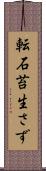 転石苔生さず Scroll