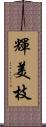 輝美枝 Scroll