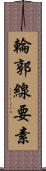 輪郭線要素 Scroll