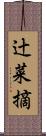 辻菜摘 Scroll