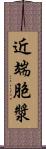 近端胞漿 Scroll