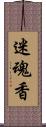 迷魂香 Scroll