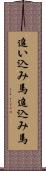 追い込み馬 Scroll