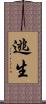 逃生 Scroll