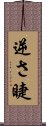 逆さ睫 Scroll