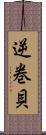 逆巻貝 Scroll