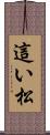 這い松 Scroll