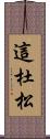 這杜松 Scroll