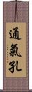 通氣孔 Scroll