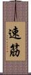 速筋 Scroll