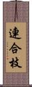 連合枝 Scroll