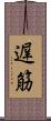 遅筋 Scroll