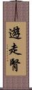 遊走腎 Scroll