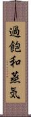 過飽和蒸気 Scroll