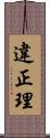 違正理 Scroll