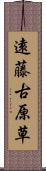 遠藤古原草 Scroll