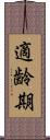 適齢期 Scroll