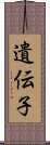 遺伝子 Scroll