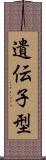 遺伝子型 Scroll