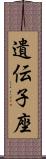 遺伝子座 Scroll