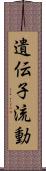 遺伝子流動 Scroll