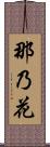 那乃花 Scroll