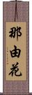 那由花 Scroll