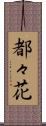 都々花 Scroll