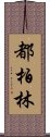 都柏林 Scroll