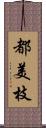 都美枝 Scroll