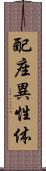 配座異性体 Scroll