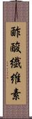 酢酸繊維素 Scroll