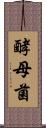 酵母菌 Scroll