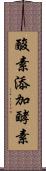 酸素添加酵素 Scroll