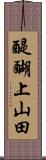 醍醐上山田 Scroll