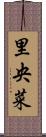 里央菜 Scroll