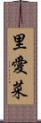 里愛菜 Scroll