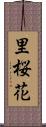 里桜花 Scroll