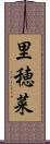 里穂菜 Scroll