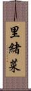 里緒菜 Scroll