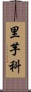 里芋科 Scroll