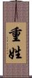 重姓 Scroll