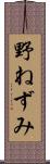 野ねずみ Scroll