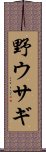 野ウサギ Scroll