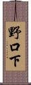 野口下 Scroll