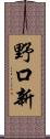 野口新 Scroll