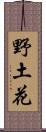 野土花 Scroll