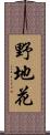 野地花 Scroll